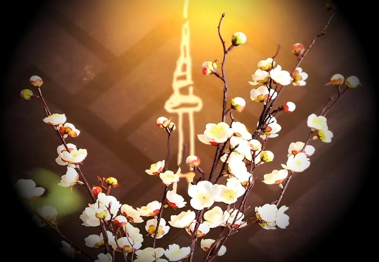 Hotel N Fourseason Seul